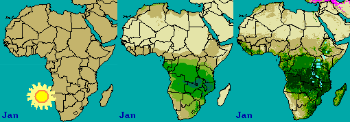 Satellite Weather Image Animated gif